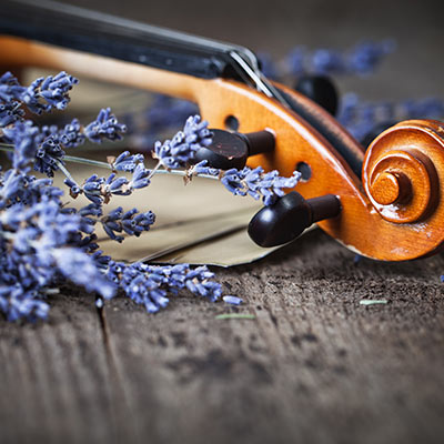 images/imagehover/image09.jpg#joomlaImage://local-images/imagehover/image09.jpg?width=400&height=400